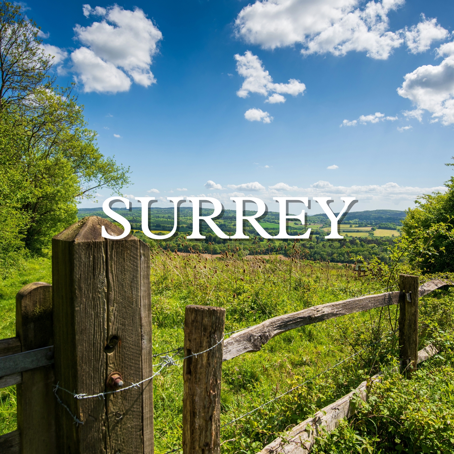 Surrey